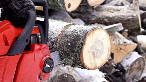 Wood Yard Tree trunk is getting cut with a chainsaw Deforestation, Stock Footage 336569946