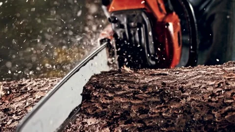 Wood Yard Tree trunk is getting cut with a chainsaw Deforestation, 스톡 동영상 336570364