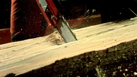 Wood Yard Tree trunk is getting cut with a chainsaw Deforestation, Stockbeeldmateriaal 336570531