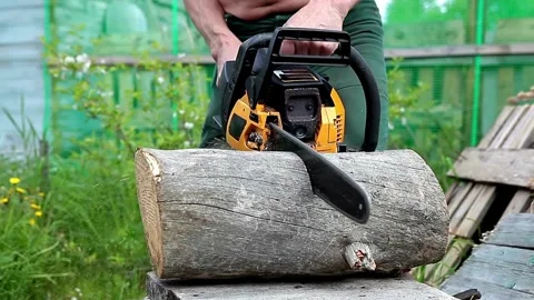Wood Yard Tree trunk is getting cut with a chainsaw Deforestation, Stock Footage 336570743