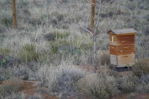 WoodBeeHive Stock Photos