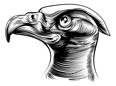 Woodblck Eagles Head イラスト素材