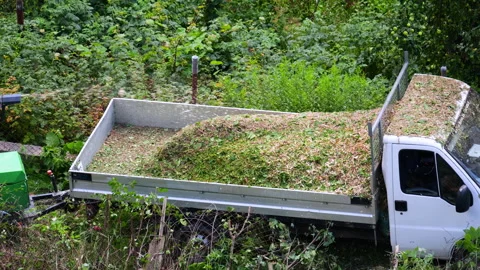 The woodchipper machine breaks tree branches into smaller woodchips. 動画素材 315519222