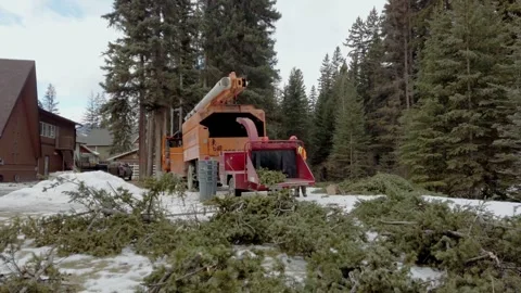 Woodchipper with pine branches, Alberta, Canada Stock Footage 308202100