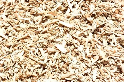 Woodchips Fotos de archivo