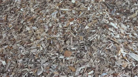 Woodchips in a pile in a factory Stock Footage 239775663
