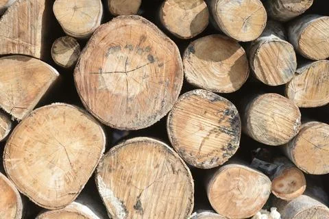 Woodcut background Stock-Fotos