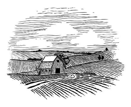 Woodcut Farm Fields Stock Illustration