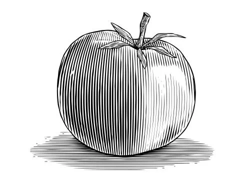 Woodcut Tomato Stock Illustration