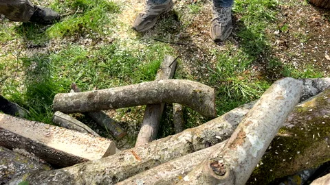 Woodcutter with Chainsaw on forest work. Preparing firewood for winter Vídeos de archivo 274344812