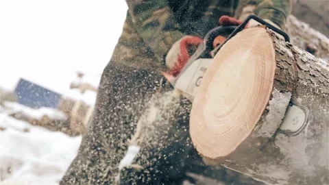 Woodcutter with Chainsaw on forest work. Worker cuts down a tree, A lumberjack 스톡 동영상 336570878