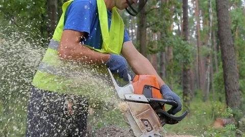 Woodcutter cuts tree trunk using chainsaw before transportation. Falling tree Stock Footage 82469697