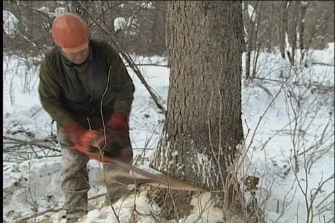 Woodcutter 스톡 동영상 914363