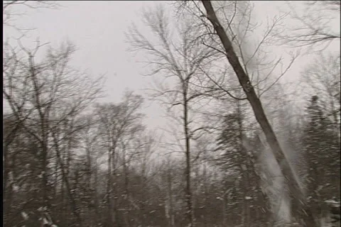 Woodcutter Video stock 914524