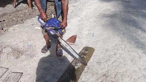 Woodcutter Video stock 199759632