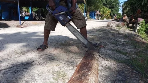 Woodcutter Video stock 199759667