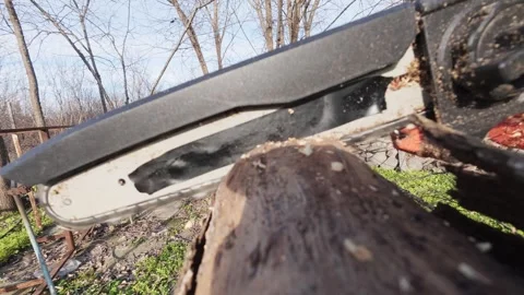 WoodCutter Video stock 325792834