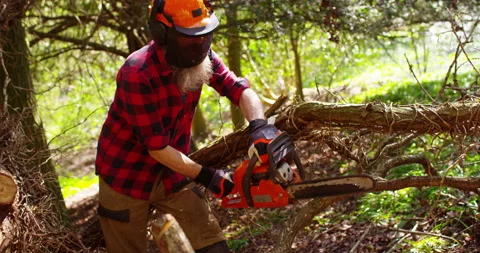 Woodcutter saws tree with chainsaw on sawmill Stock Footage 154435510