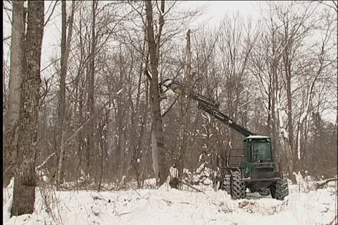 Woodcutter,  tractor Vídeo Stock 914622