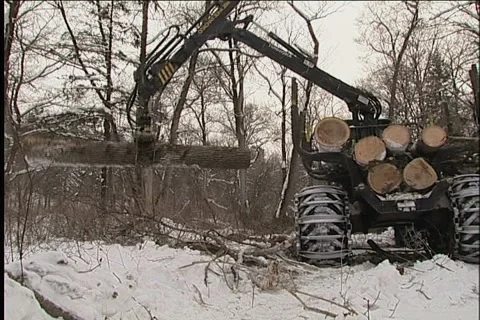 Woodcutter,  tractor 스톡 동영상 914937