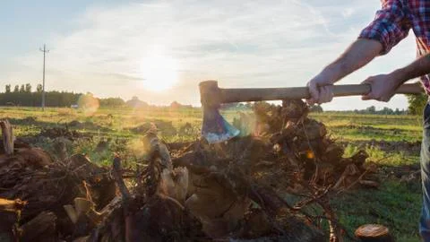 Woodcutter at work Stock Photos