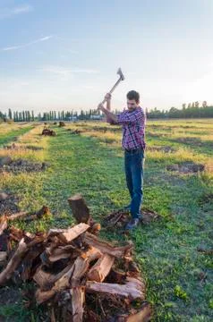 Woodcutter at work Stock Photos