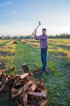 Woodcutter at work Stock Photos