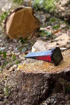 Woodcutter work Stock Photos