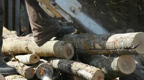 Woodcutter working in a forest. Stockbeeldmateriaal 37552901