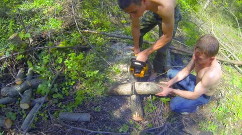 Woodcutters sawed big log Stock Footage 45983225