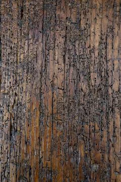 Woode texture rustic Stock Photos