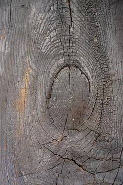 Woode texture rustic Stock Photos