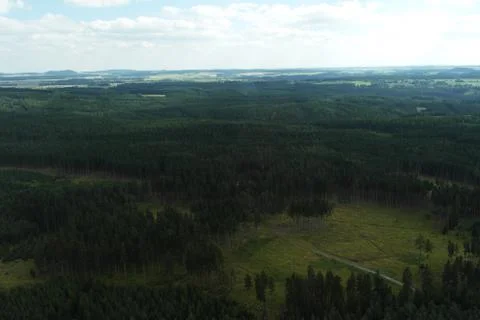 Wooded landscape Foto stock