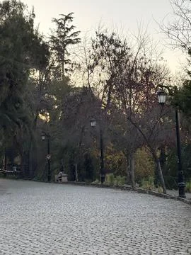 Wooded path at dusk Stock Photos
