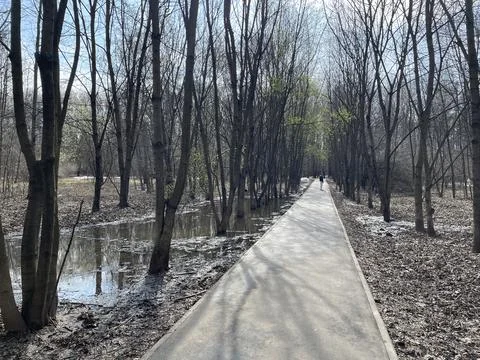 Wooded path in early spring with bare trees and a small pond, perfect for a.. Stock Photos