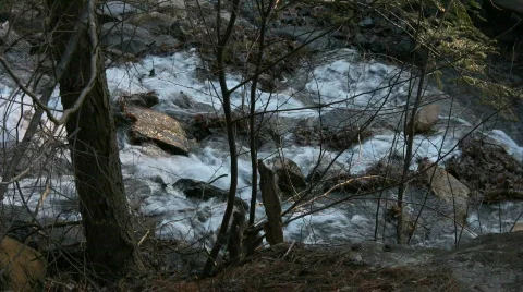 Wooded Rapid Stream Stock Footage 843146