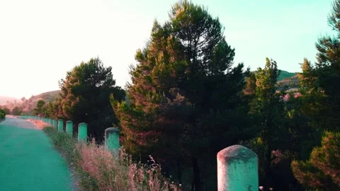 Wooded by the roadside Stock Footage 197663783