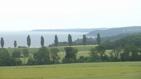 Wooded shore behind corn fields Stock-Footage 86356787