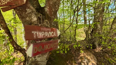 Wooded trail winds through green forest. Tupavica Waterfall, trail marker. Vídeos de archivo 335532460