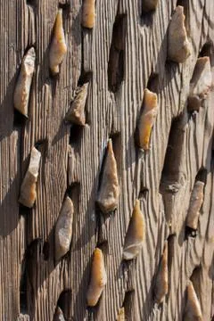 Wooden background with certain texture Stock Photos