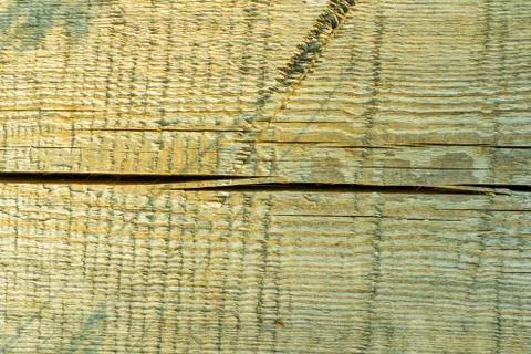 Wooden background, Cut tree pattern. Texture of cut and dry tree. Tree age ri Stock Photos