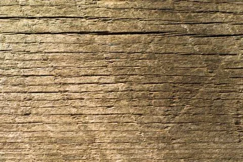 Wooden background, Cut tree pattern. Texture of cut and dry tree. Tree age ri Stock Photos