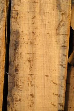 A wooden background with a different surfaces Stock Photos