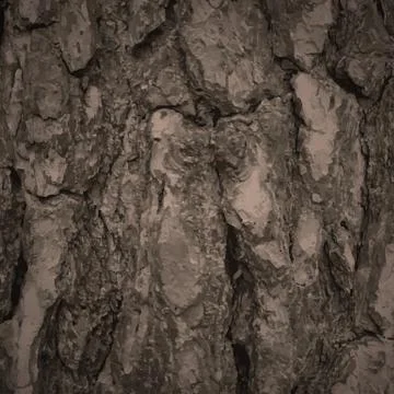 Wooden background Stock Illustration