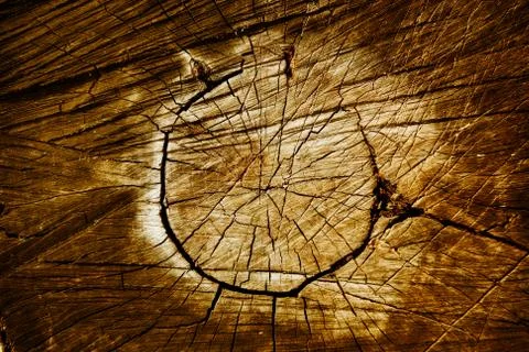 Wooden background Stock Illustration
