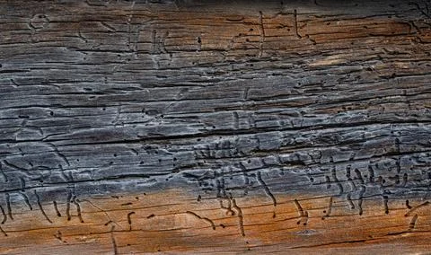 Wooden background pattern for crafts or abstract art texture Stock Photos