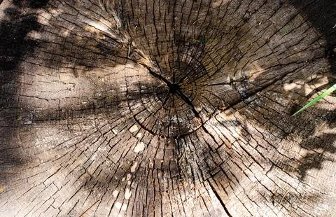 Wooden background pattern for crafts or abstract art texture Stock Photos