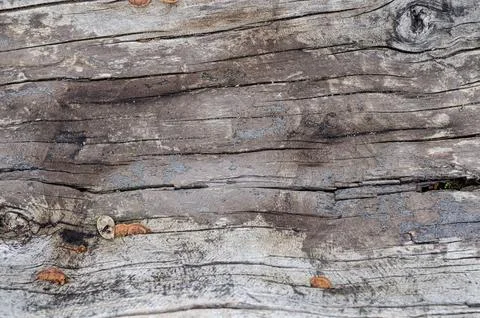 Wooden background pattern for crafts or abstract art texture Stock Photos