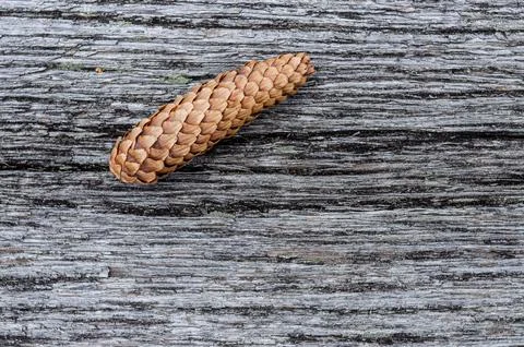 Wooden background pattern for crafts or abstract art texture Stock Photos