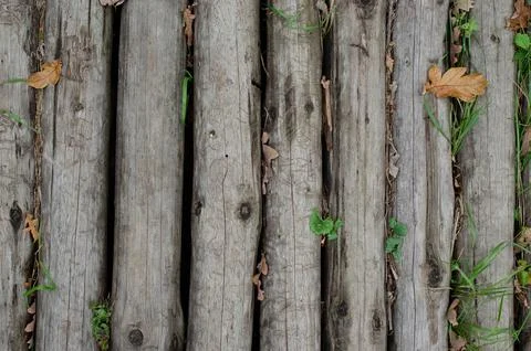Wooden background pattern for crafts or abstract art texture Stock Photos